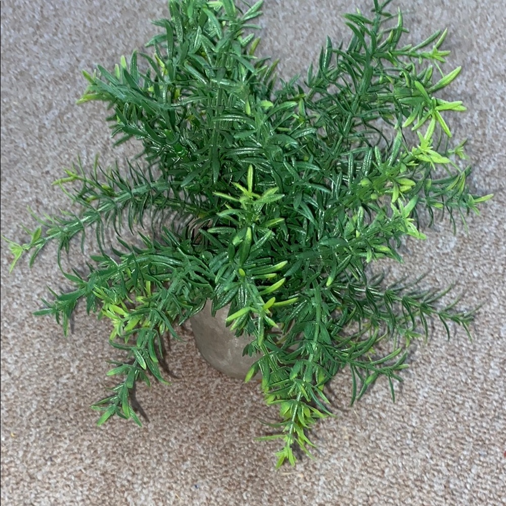 Green Faux Plant in Gray Pot Dorm, Home, Office